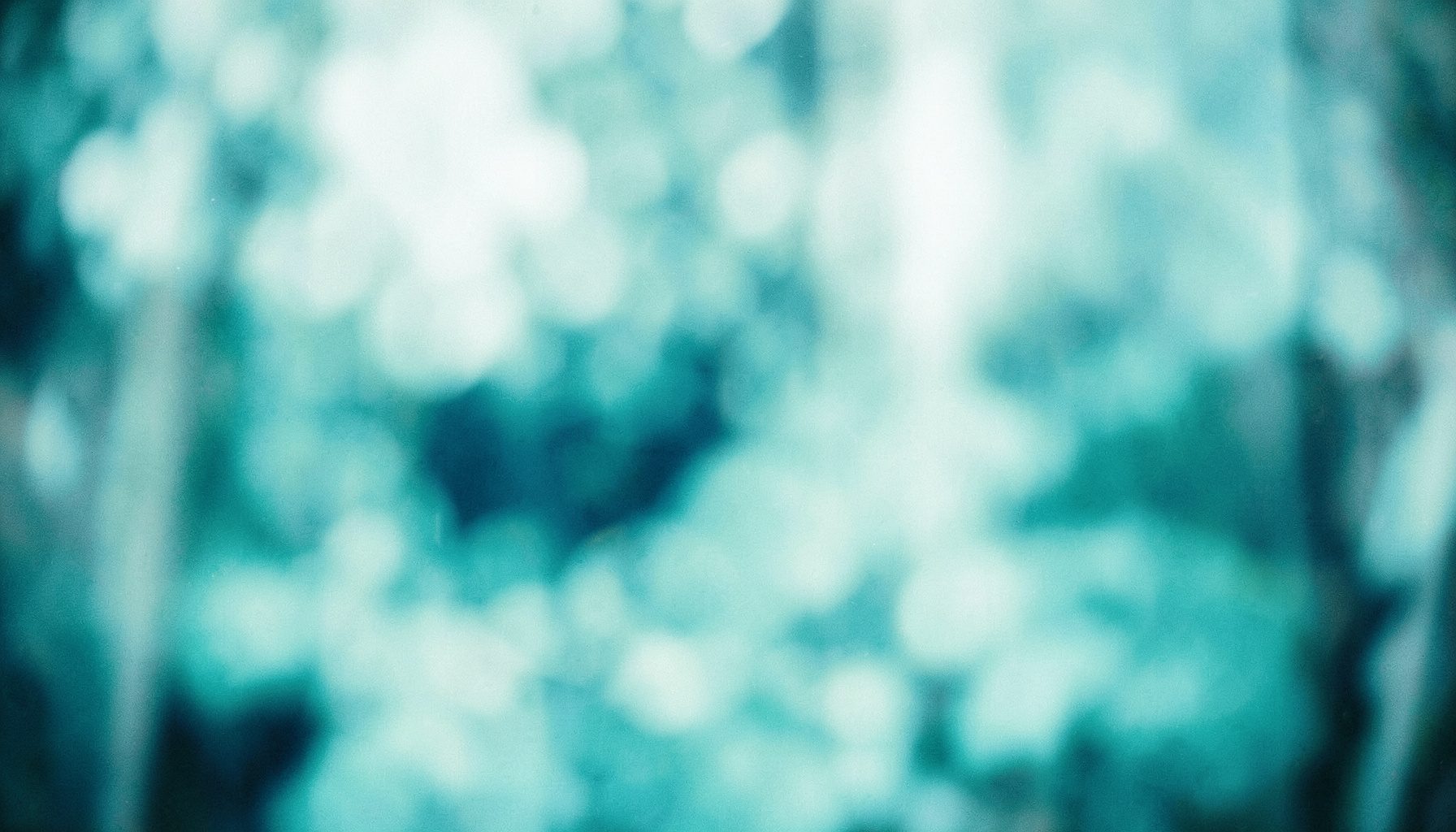 A soft-focus wide image in mint and navy tones with a peaceful, airy atmosphere